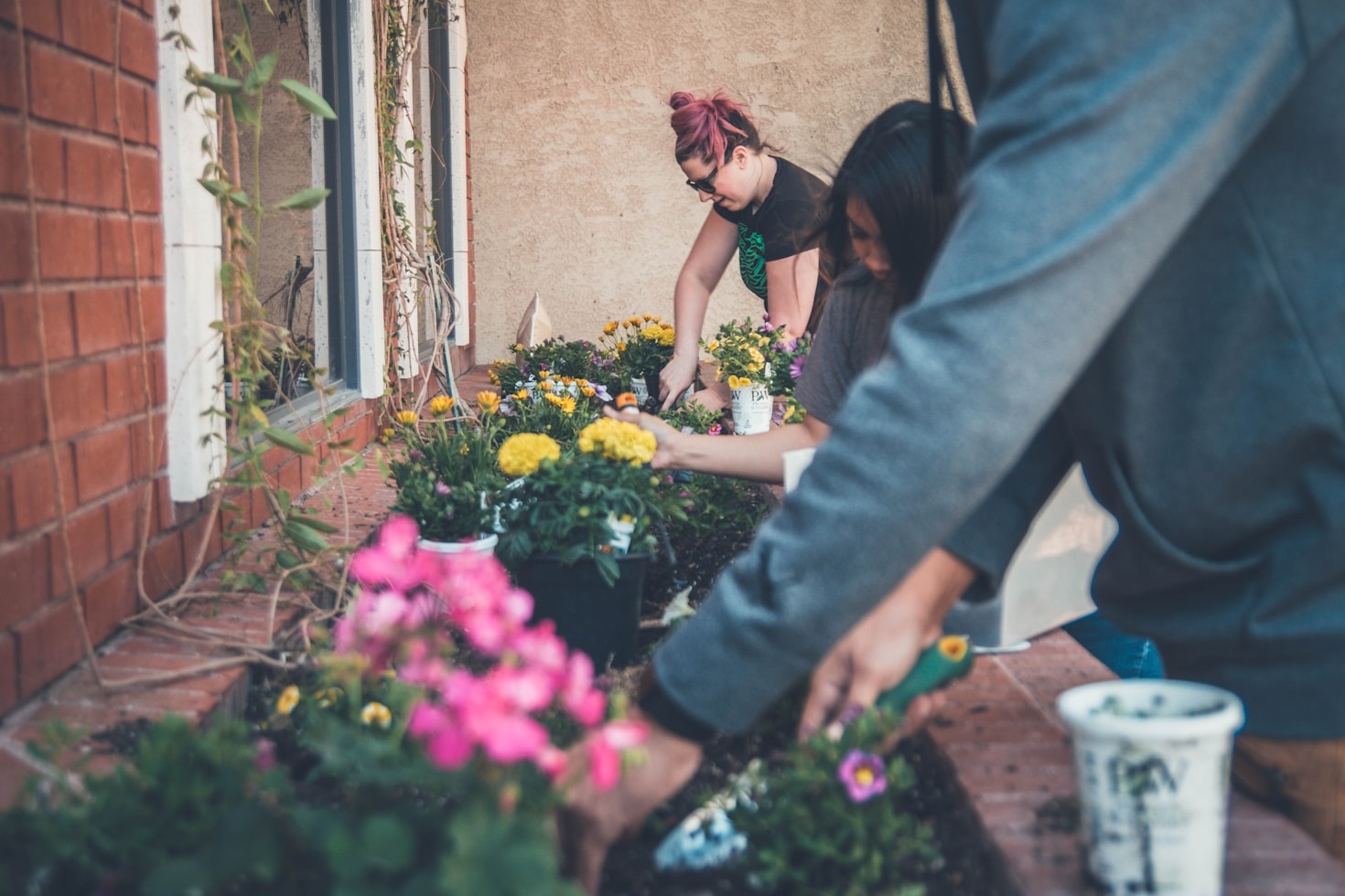 How to Choose the Perfect Potting Mix